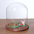 thumbnail image 3 of simhoa Cloche en Verre Transparent pour Plantes et Contenant, Couvercle d'Exposition en Dôme avec Base, Noir F, 3 of 5