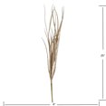 thumbnail image 3 of GT CHAMPAGNE GD PICK, 3 of 4