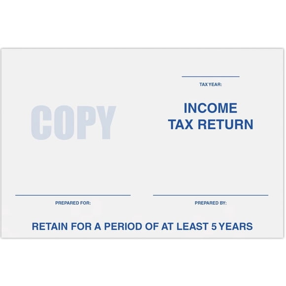 LUXPaper Enveloppes Livret 6 x 9 / Déclaration d'Impôt sur le Revenu / Blanc Éclatant / Texte de 24 Lb / Quantité de 500