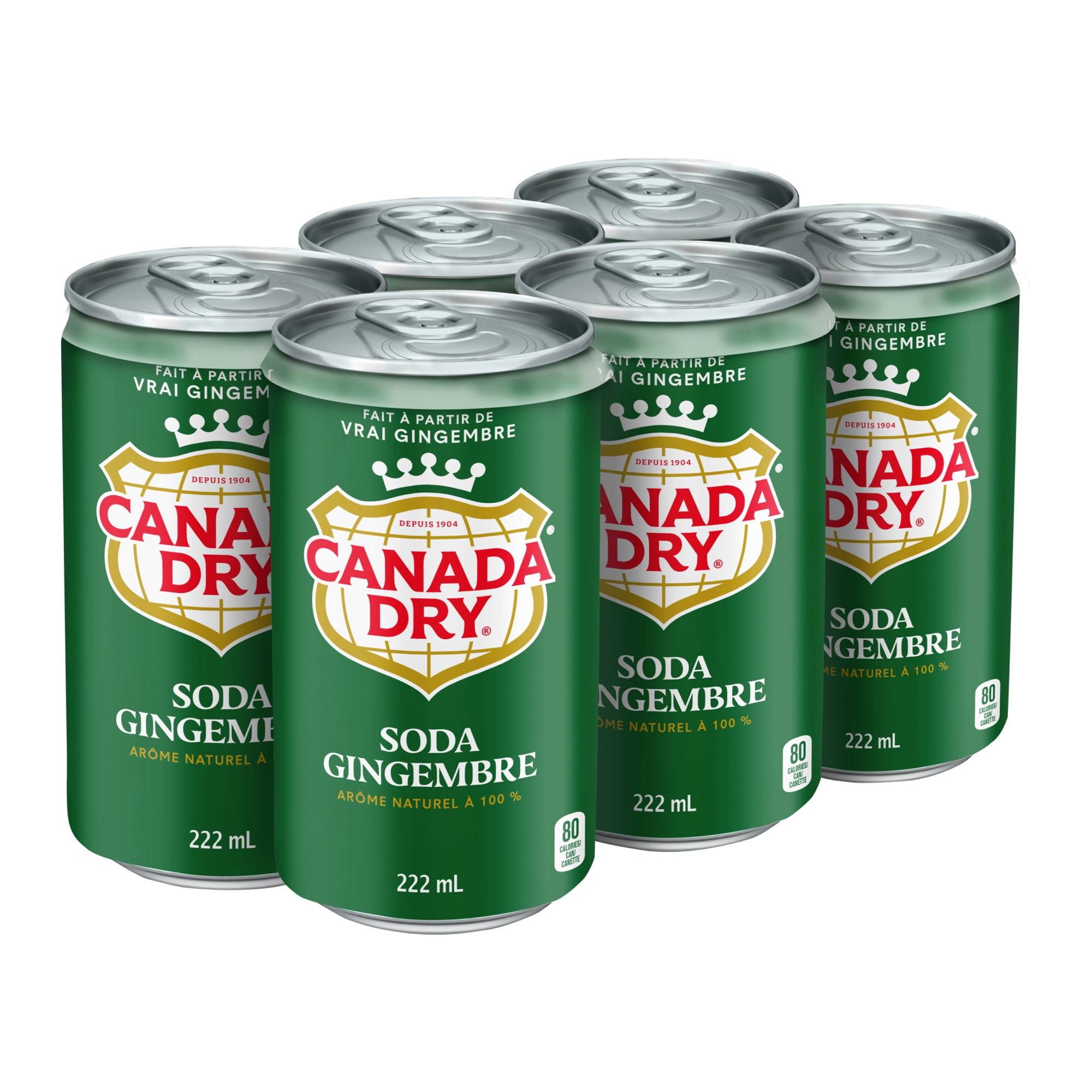 Soda gingembre Canada DryMD - Emballage de 6 mini-canettes de 222 mL