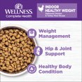 thumbnail image 4 of Wellness, Feline Adult - GF Complete Health - Healthy Weight - Chicken - Dry Cat Food, 4 of 5
