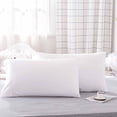 thumbnail image 1 of BAOPAI Luxury Hotel Protective Pillowcase Covers 2 Pack Breathable Moisture Wicking Oil Resistant Soft Comfortable Bedding for Better Sleep, 1 of 6