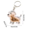thumbnail image 2 of Porte-clés Collectionneur de Poils de Chien Porte-Clés Chien Porte-Clés Collectionneur de Poils de Chien Boîte de Rangement Commémorative Souvenir de Poils d'Animaux Porte-Clés Souvenir Transparent pour Collectionner les Poils de Chat et de Chien, 2 of 4