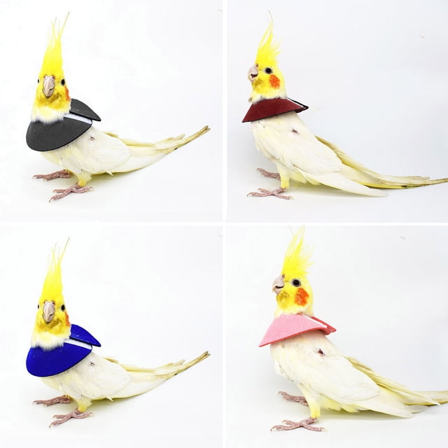 CBFFDC Dispositif de Retenue pour Oiseaux Collier de Récupération Ajustable pour Perroquet Anti-Morsure Protection contre les Blessures Attache Fixation Collier pour Oiseaux Accessoire pour Oiseau de Compagnie
