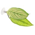 thumbnail image 1 of Betta Fish Leaf Pad Simulating Natural Spawning Leaf Betta Spawning Ground Breeding Resting Leaf, 1 of 8