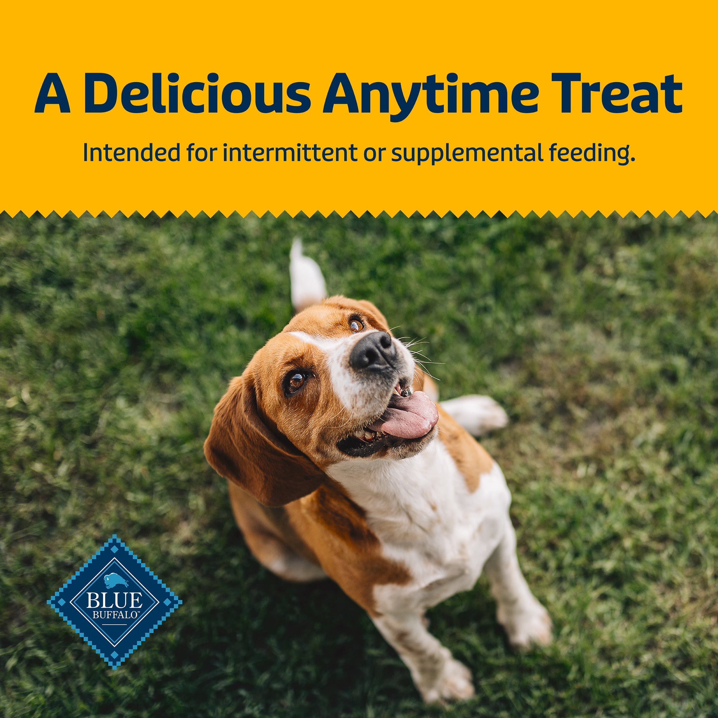Blue Buffalo Health Bars Biscuits Croquants pour Chiens, Biscuits pour Chiens Bananes et Yogourt.