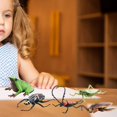 thumbnail image 5 of Décoration Modèle de Libellule Grenouille Écologique Insecte Coléoptère Statue Modèle Décoration de Bureau, 5 of 5