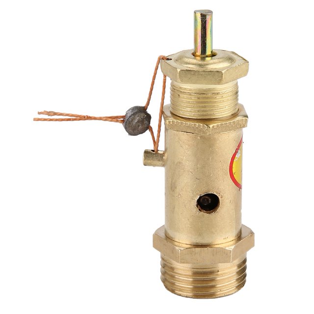 1Pcs G1/2 Soupape de type Ressort de Soupape pour Générateurs de Vapeur3kg