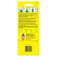 thumbnail image 2 of LITTLE TREES air freshener Coconut 3-Pack, 2 of 10