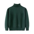thumbnail image 1 of Dealovy Toddler Baby Sweaters Solid Color Pullover Basic Top Kids Fall High Neck Long Sleeve Cotton Blouses, 1 of 3