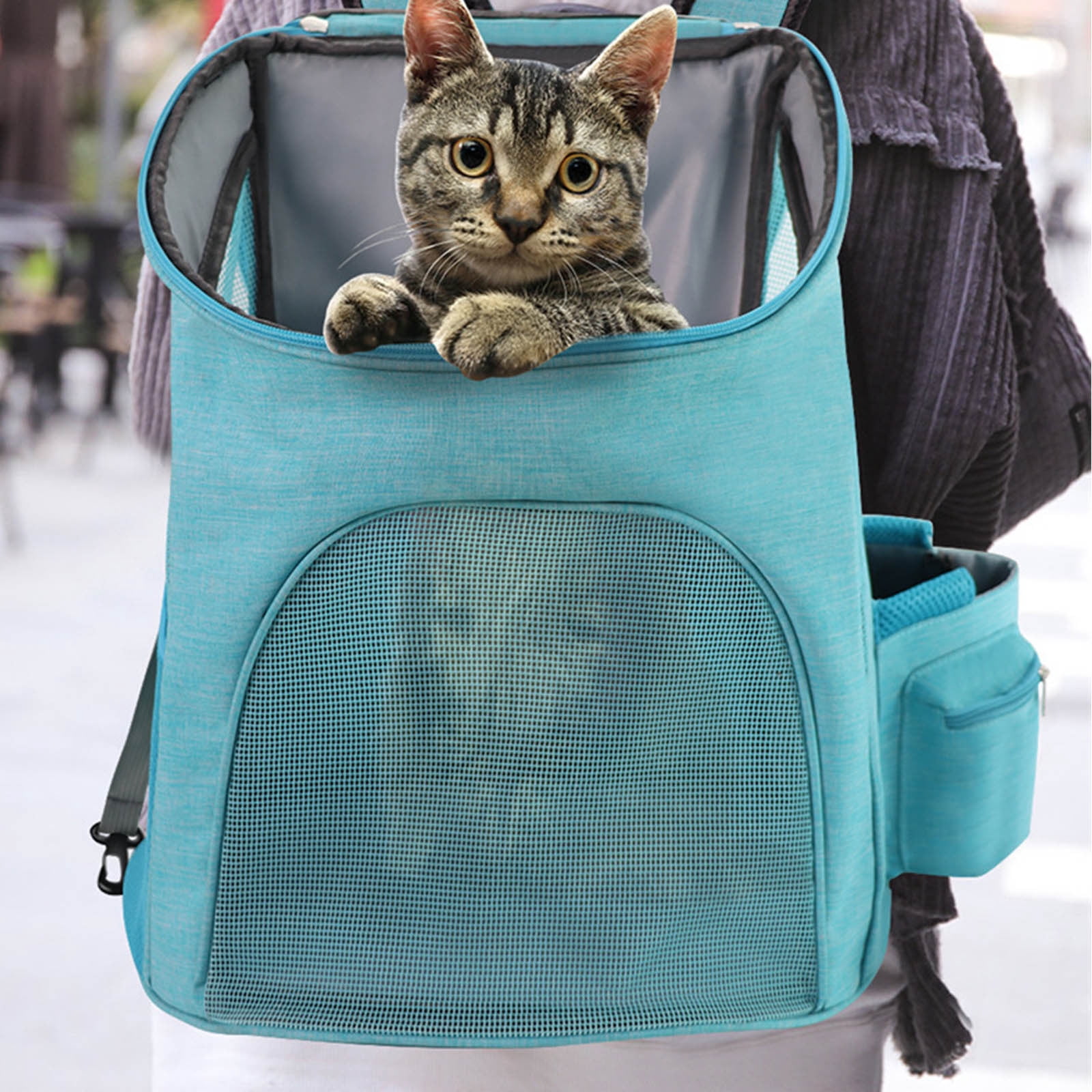 Birdeem Dog Travel Bag,Dog Backpack Carrier,Foldable Small Pet Carrier, Ventilated Design Pet Travel Carrier Backpack with Breathable Mesh Pockets, A Pet Carrier Bag for Travel Hiking and Camping
