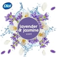 thumbnail image 4 of Dial Lavender and Jasmine Soothing Body Wash, 473ml, Dermatologist Tested, Free from Silicones, Parabens, Phthalates, SLS, 4 of 9