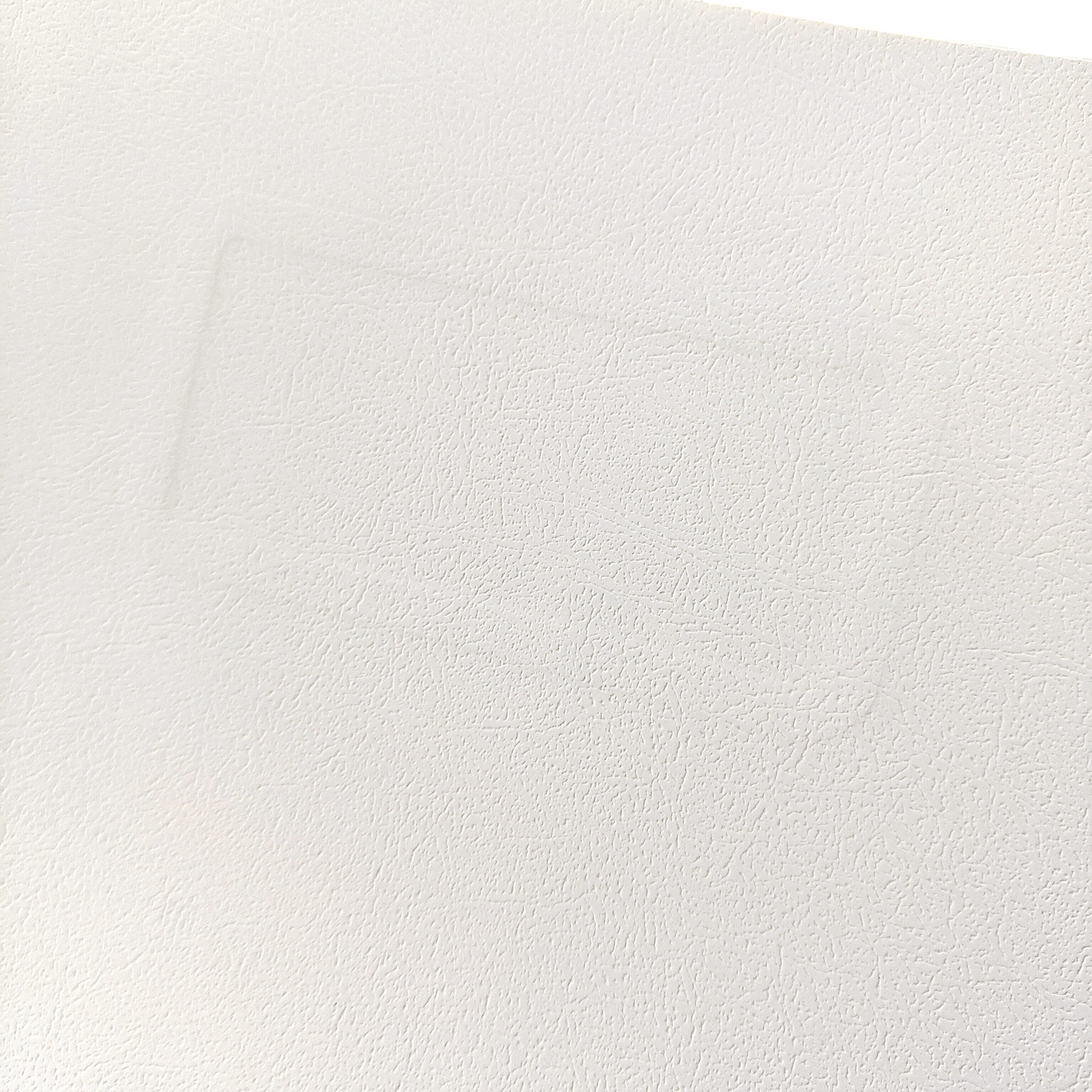 Couverture blanche Rep