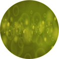 thumbnail image 1 of Ahgly Company Tapis d'Intérieur Ronds Transitionnels Lavables à la Machine, Vert Pistache, 4 Pieds Rond, 1 of 7