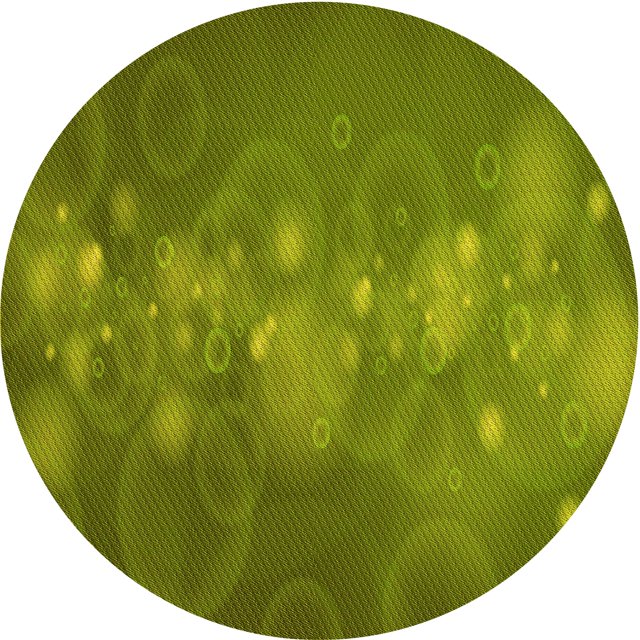 Ahgly Company Tapis d'Intérieur Ronds Transitionnels Lavables à la Machine, Vert Pistache, 4 Pieds Rond