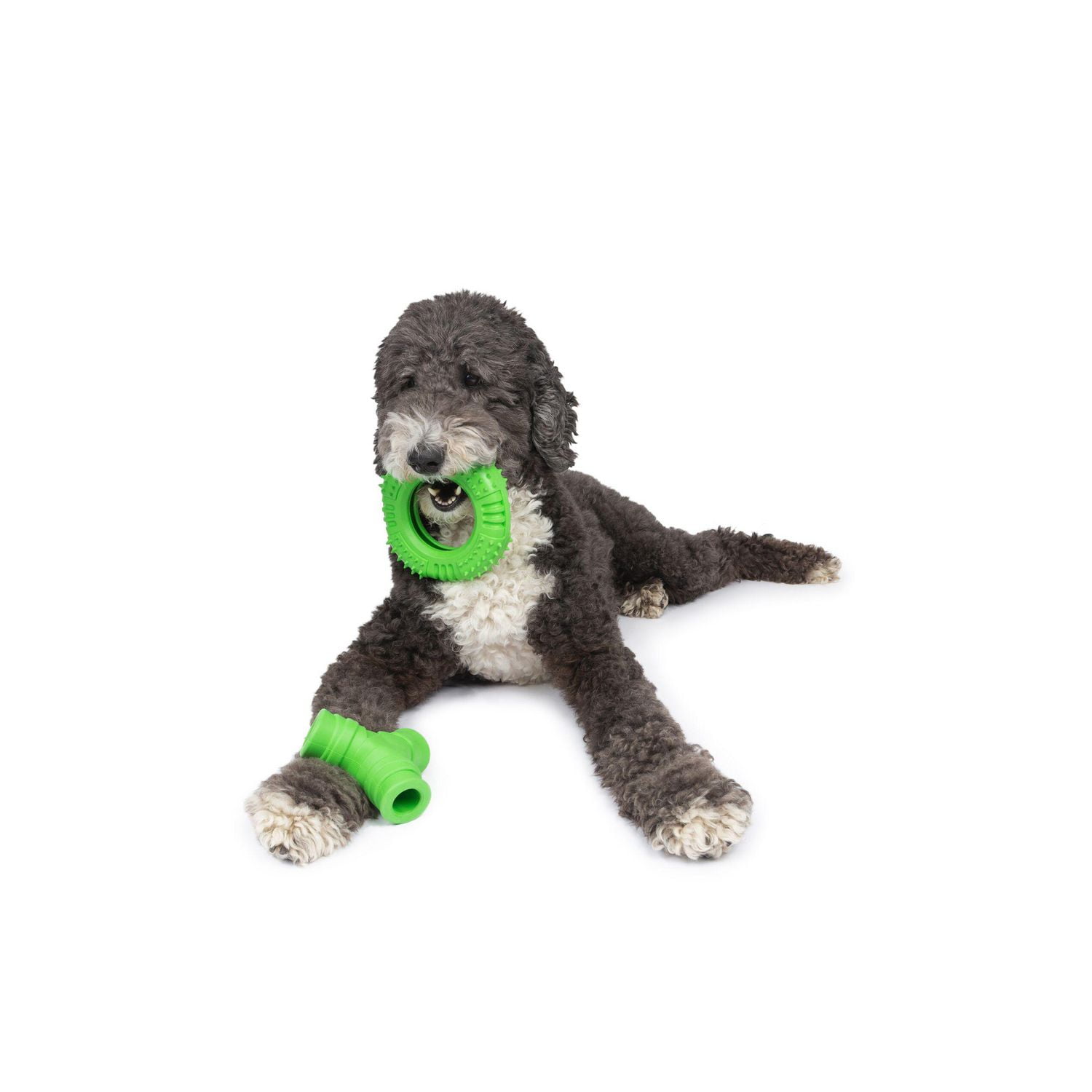 One Paw , Lot de 2 Jouets à Mâcher en Caoutchouc pour Chien, Grand, Distributeur de Gâteries, Fabriqué en Caoutchouc