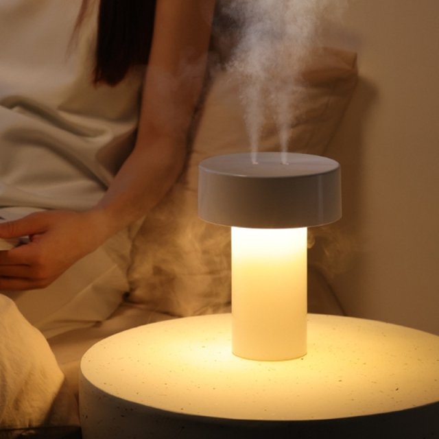 Xuewenshw Small Household Humidifier Bedroom Large Capacity Air Sprayer Large Fog Volume Double Spray Humidifier Humidifier Humidifiers Warm And Cold Mist
