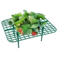 thumbnail image 2 of Tiezhimi Strawberry Plant Support Stand 9.8*7.9*3.7 Inches Plastic Growing Frame, 2 of 9