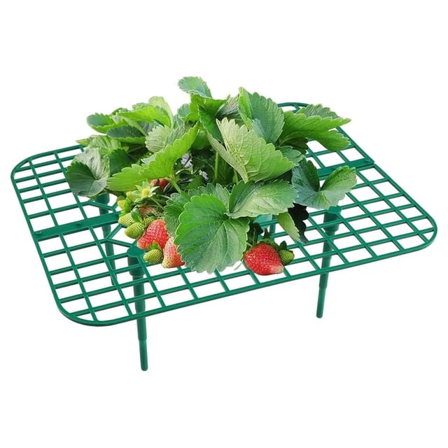 Oleegame 1PC Spoon And Lid Rest Strawberry Plant Support Strawberry Stand Keeping Strawberry Plants Clean Strawberry Growing Racks Strawberry Growing Frame(1PC)