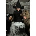 thumbnail image 3 of Child Furry Spider Costume, 3 of 5