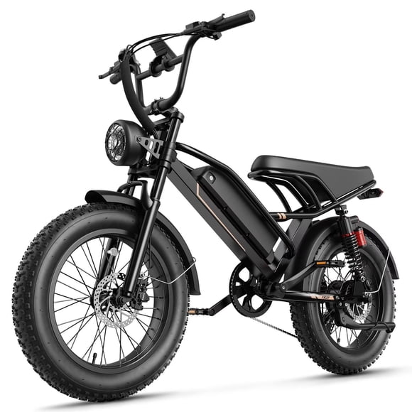 Jasion YR20 Vélo Électrique pour Adultes, VTT Électrique 1000 W avec Batterie Amovible 48 V 20 Ah, Pneus Larges de 20 Pouces, Freins Hydrauliques, Vélo Électrique Tout-Terrain de Type Cyclomoteur, UL2849