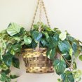 thumbnail image 4 of Nearly Natural 6517 Pothos Hanging Basket Silk Plant- Green, 4 of 10