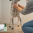 thumbnail image 3 of Earth Rated Rinse-Free Dog Shampoo, All Coat Types, Waterless, Cucumber Mint Scent, 3 of 6