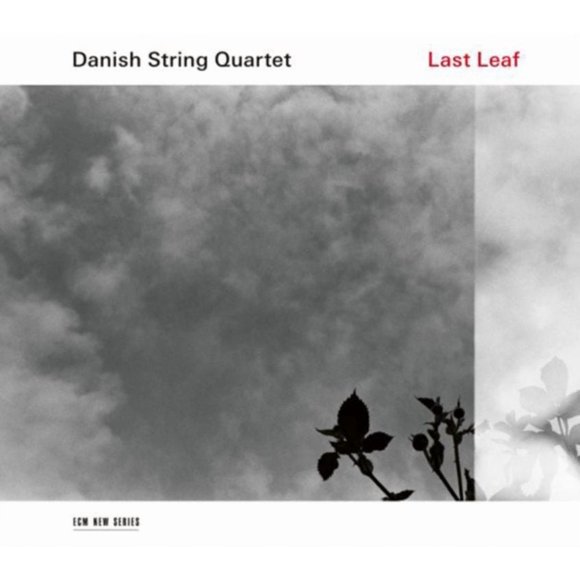 Danish String Quartet - Last Leaf (vinyl)