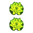 thumbnail image 1 of QualitChoice Artificial Lotus Replacement Simulation Outdoor Garden Park Pond Pool Photography Fake Water Flower Decor Green 2PCS, 1 of 6