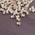 thumbnail image 2 of IFANLANDOR 100Pack Beige Star Push Pin for Classroom Door Decorations Office Home, 2 of 7
