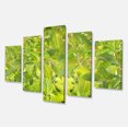 thumbnail image 2 of Bright Fuchsia Green Foliage - Floral Canvas Art Print, 2 of 3