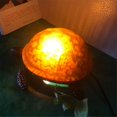 thumbnail image 5 of ORUYROP Table Lamp, Turtle Shaped Table Lamp Decorative Lights for Restaurant Study Bedroom (Brown), 5 of 5