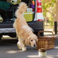 thumbnail image 4 of Outdoor Dog Tr Eat Holder Airtight Home Organization And Storage Must Haves Canisters for Kitchen Counter Small Containers with Lids for Organizing Kitchen Organization Closet Storage Containers, 4 of 4