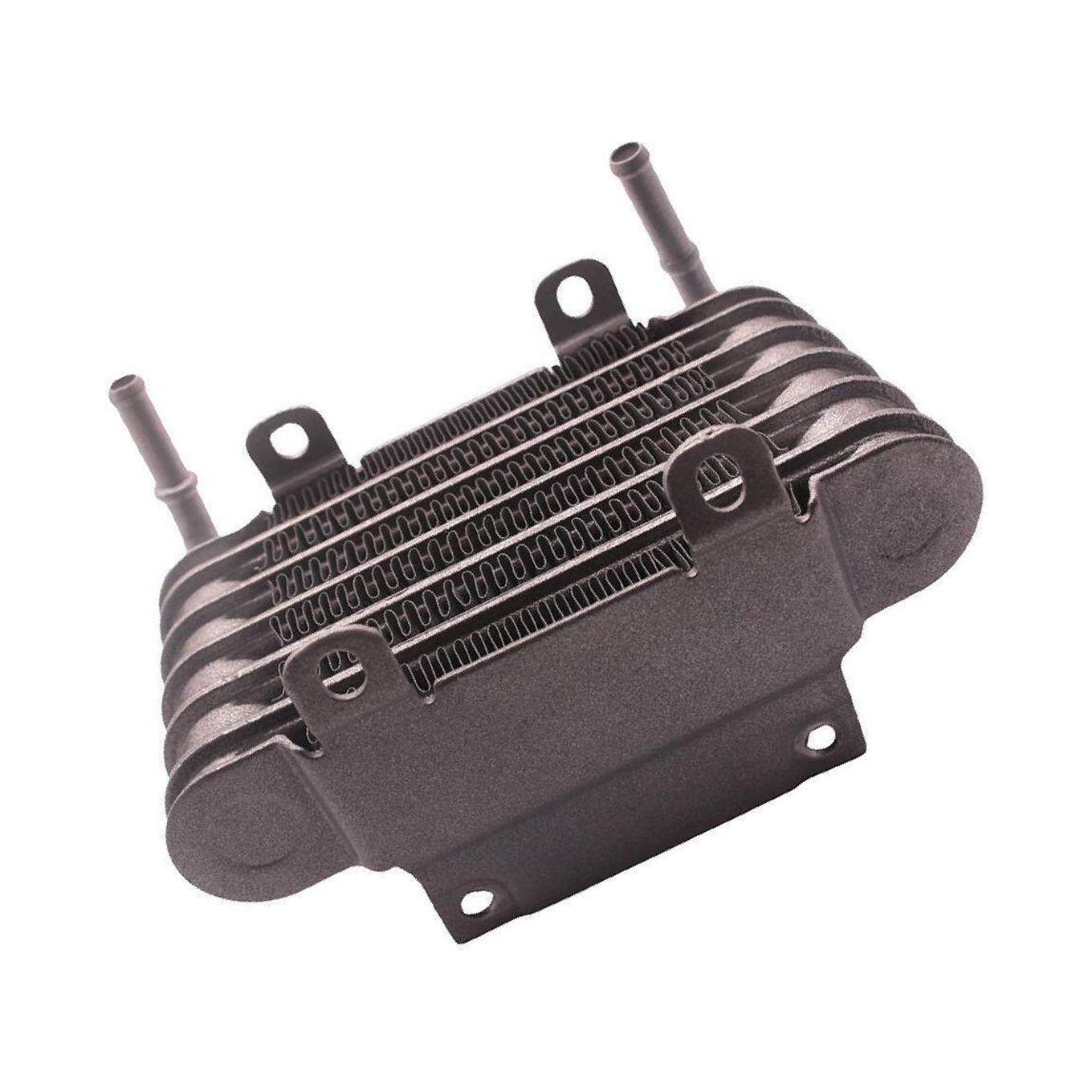 Universal Racing Car Motorcycle Engine Small Fuel Oil Fuel Oil Cooler Aerdentalloy