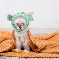 thumbnail image 1 of GOOHOCHY cat hat for cats Cat Hat Light Green Crystal Velvet Decorative Item for Parties 1Set, 1 of 8