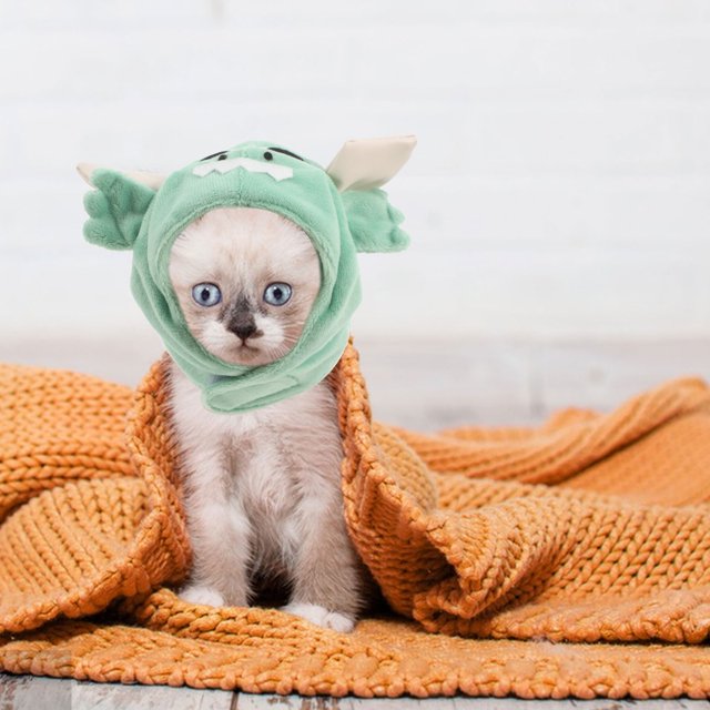GOOHOCHY cat hat for cats Cat Hat Light Green Crystal Velvet Decorative Item for Parties 1Set