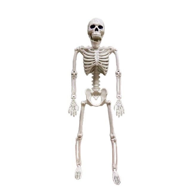 Posable Skeleton Halloween Decorations Poseable Skeleton With Realistic Movable Joints For Halloween Garden Outdoor Statues Outdoor Statues for outside Yard Decorations Statues Rainbow Ornament Set