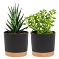 thumbnail image 1 of QCQHDU 2 Pack Plant Pot, Black Plastic Indoor Planter With Drainage Holes And Removable Base, 1 of 6