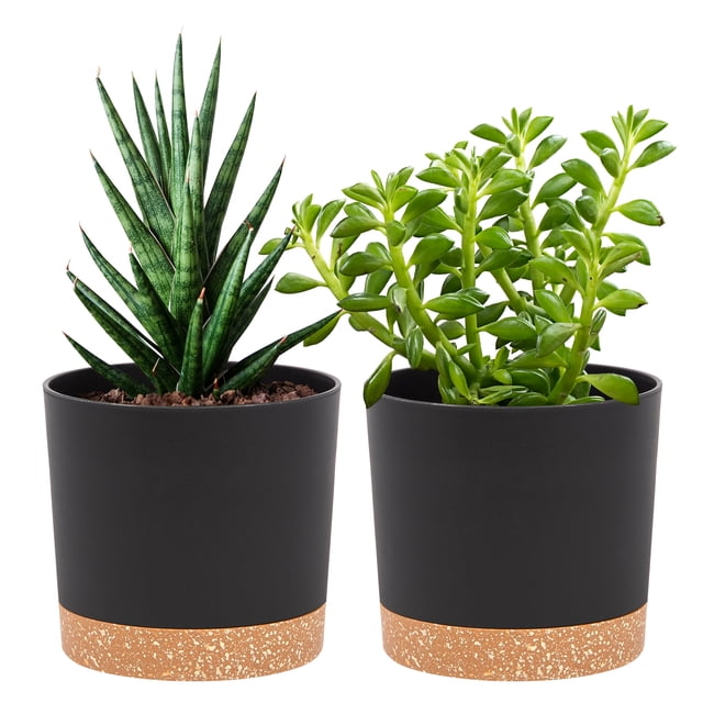 QCQHDU 2 Pack Plant Pot, Black Plastic Indoor Planter With Drainage Holes And Removable Base