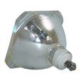 thumbnail image 4 of Lutema Economy for Sony LMP-H160 Projector Lamp (Bulb Only), 4 of 5