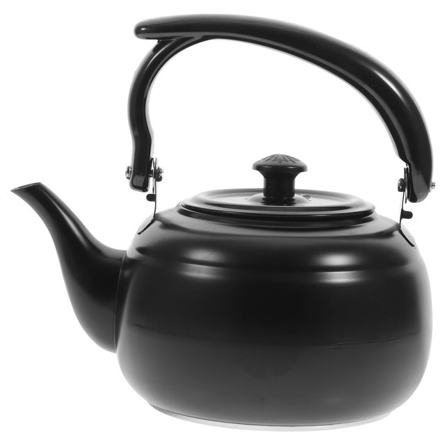 1L Stainless Steel Tea Kettle Alcohol Stovetop Teapot with Removable Infuser