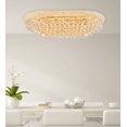 thumbnail image 2 of Elegant Lighting Primo 50" 18 Light Royal Crystal Flush Mount, 2 of 9