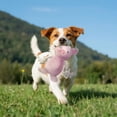 thumbnail image 3 of GiGwi 12" Squeaker avec corde confortable cochon chien jouet, 3 of 5