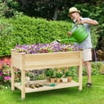thumbnail image 3 of Gymax Jardinière Surélevée en Bois, Bac de Plantation Surélevé avec Roues Verrouillables, Tablette et Doublure, 3 of 10