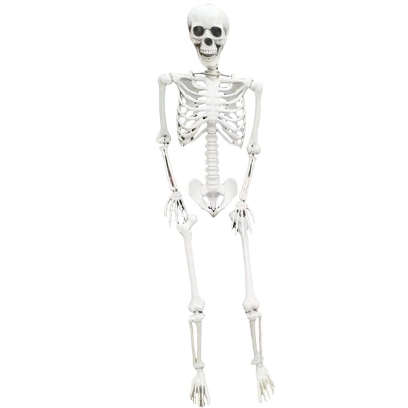 Life Size Skeleton Skeleton Halloween Outdoor Decorations Realistic Full Body Posable Joints Bones Scary Halloween Skeleton 165Cm Desktop Ornament