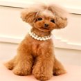 thumbnail image 4 of LSLJS Collier Collier pour Chien en Perles Bijoux pour Chiot Collier Brillant en Strass Cat Collier Bling pour Chien Collier Cat Bijoux pour Animaux Collier, 4 of 4
