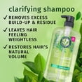 thumbnail image 3 of Herbal Essences Clarifying Shampoo, Tea Tree, 1L, 3 of 17