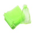 thumbnail image 3 of koolsoo 100 Pcs Sacs de Protection pour Fruits Sac-Cadeau pour Verger Fleurs Plantes Vert, 3 of 9