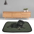 thumbnail image 1 of Waterproof Cloth Summer Pet Mat, Oxford Cloth Pet Mat, For Dogs Cats Orange,Yellow,Green, 1 of 8