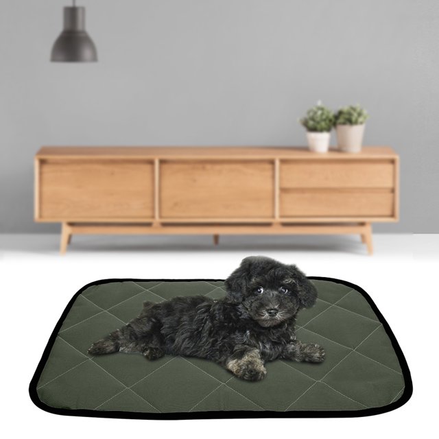 Waterproof Cloth Summer Pet Mat, Oxford Cloth Pet Mat, For Dogs Cats Orange,Yellow,Green
